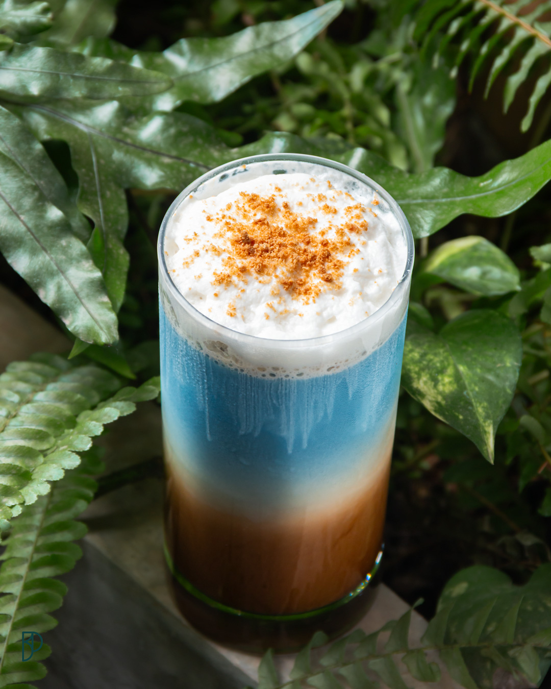 El-Panot-Ocean-Caramel-4