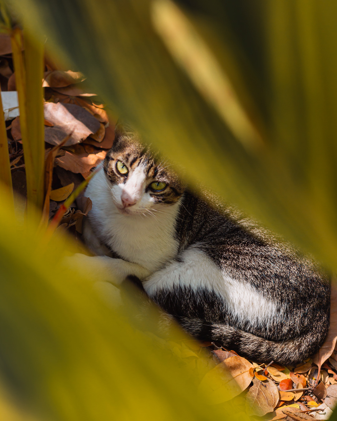 botanico-12-abril-hesor-4